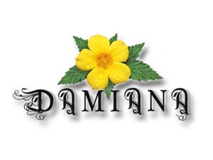 Damiana Liqueur Damiana Liqueur