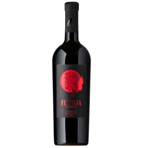 Istria Festigia Castello Rossa